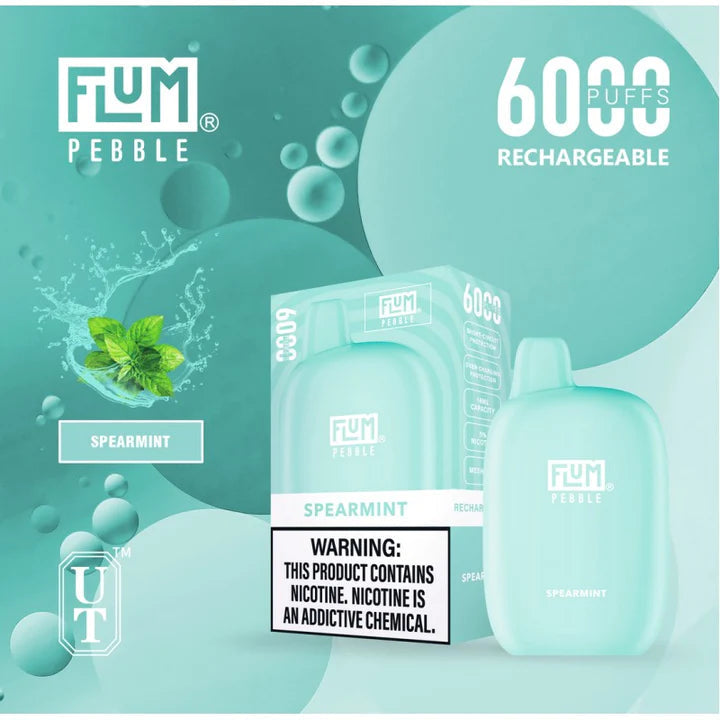 Flum pebble-spearmint 6000